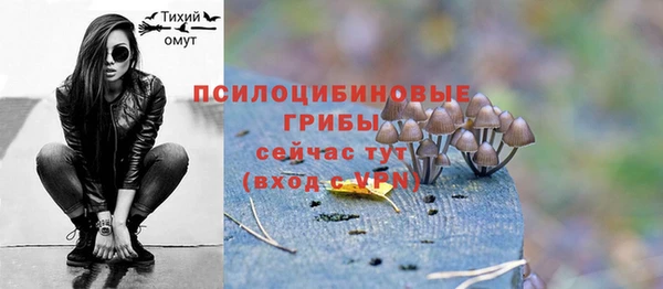 mix Богородск