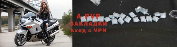 стафф Богородицк