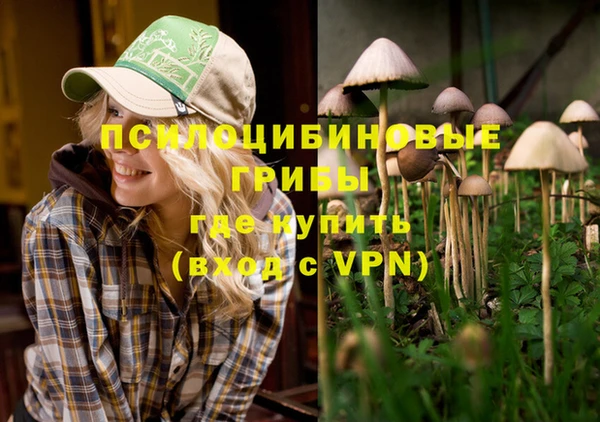 стафф Богородицк