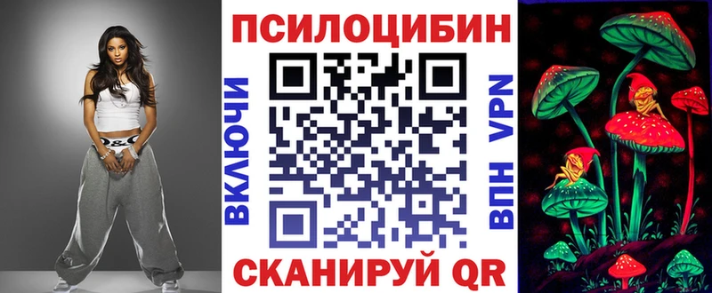 Галлюциногенные грибы Psilocybe  Сковородино 